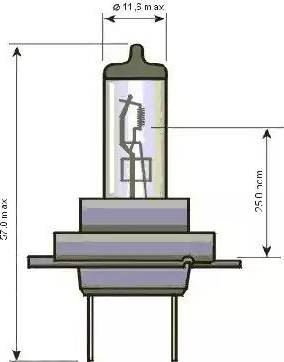 SCT-MANNOL 202174 - Bulb, spotlight autospares.lv