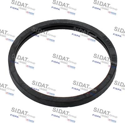 Sidat 94.016102 - Gasket, thermostat autospares.lv