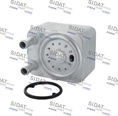 Sidat 590006 - Oil Cooler, engine oil autospares.lv