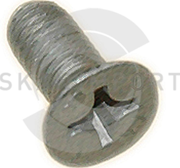 SKANIMPORT 04.8301 - Bolt, brake disc autospares.lv