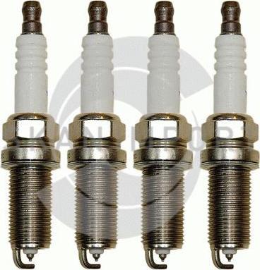 SKANIMPORT FR 2070 - Spark Plug autospares.lv