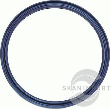 SKANIMPORT PB-8178-1 - Shaft Seal, crankshaft autospares.lv