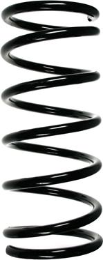 Spidan 49593 - Coil Spring autospares.lv