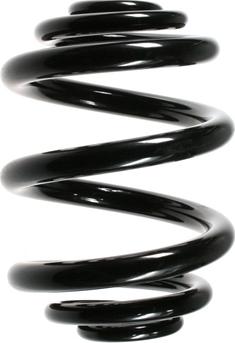 Spidan 49695 - Coil Spring autospares.lv