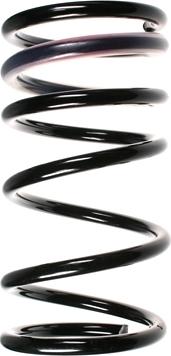 Spidan 55321 - Coil Spring autospares.lv