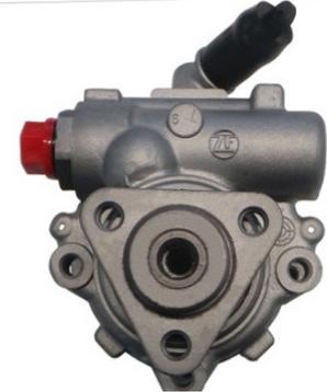 Spidan 53756 - Hydraulic Pump, steering system autospares.lv