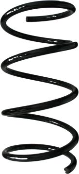 Spidan 85100 - Coil Spring autospares.lv