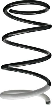 Spidan 86408 - Coil Spring autospares.lv