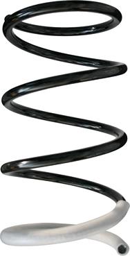 Spidan 86407 - Coil Spring autospares.lv