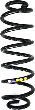 Spidan 86484 - Coil Spring autospares.lv