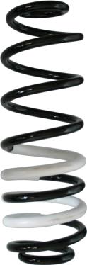 Spidan 88233 - Coil Spring autospares.lv