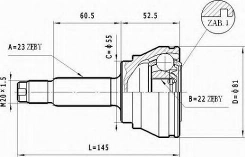 Statim C.189 - Joint Kit, drive shaft autospares.lv