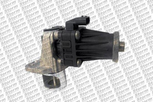 Storm 9098 - EGR Valve autospares.lv