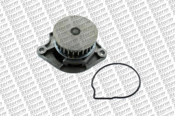 Storm AST191 - Water Pump autospares.lv