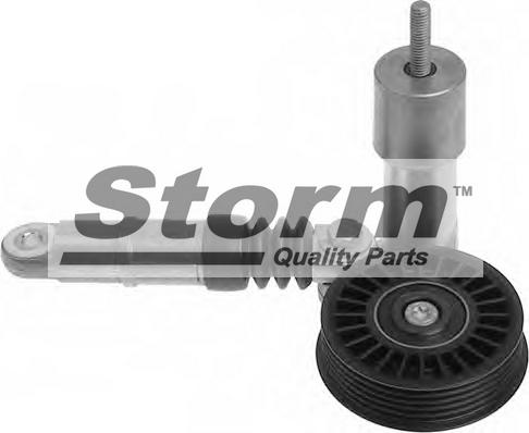 Storm F4319 - Belt Tensioner, v-ribbed belt autospares.lv