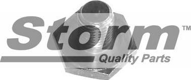 Storm F1531 - Sealing Plug, oil sump autospares.lv