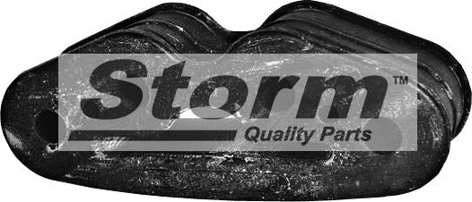 Storm F1359 - Holder, exhaust system autospares.lv