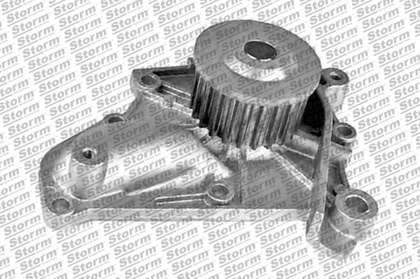 Storm PA10840 - Water Pump autospares.lv