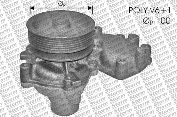 Storm PA10748 - Water Pump autospares.lv