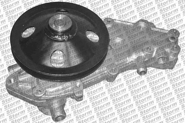 Storm PA10770 - Water Pump autospares.lv