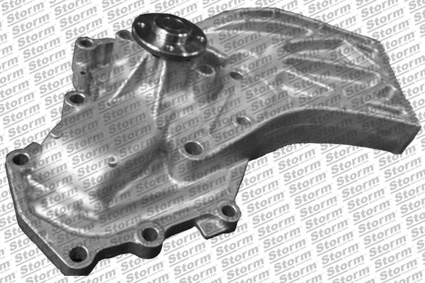 Storm PA12594 - Water Pump autospares.lv