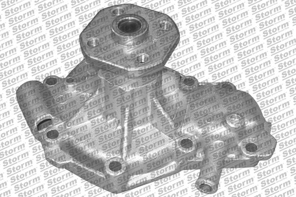 Storm PA12241 - Water Pump autospares.lv