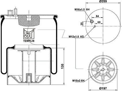 ST-Templin 04.060.6206.080 - Bellow, air suspension autospares.lv