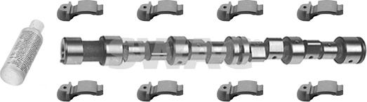 Swag 40 91 8812 - Camshaft Kit autospares.lv