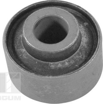 Tedgum 00449343 - Bush of Control / Trailing Arm autospares.lv