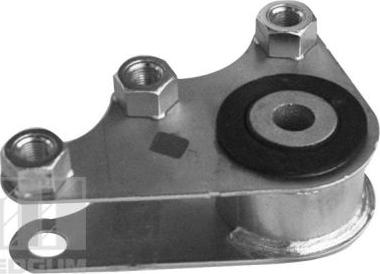 Tedgum 00219338 - Holder, engine mounting autospares.lv