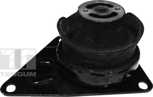 Tedgum 00723888 - Holder, engine mounting autospares.lv