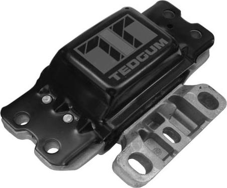 Tedgum 00722490 - Mounting, manual transmission support autospares.lv