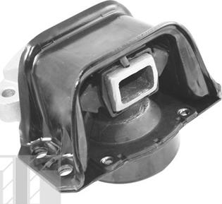 Tedgum TED70595 - Holder, engine mounting autospares.lv