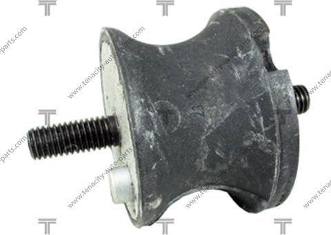 Tenacity AWSBM1008 - Holder, engine mounting autospares.lv