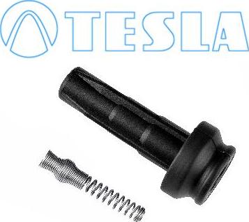 TESLA CP073 - Plug, spark plug autospares.lv