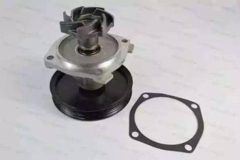 Thermotec D1H021TT - Water Pump autospares.lv