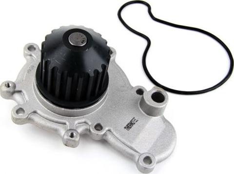 Thermotec D1Y002TT - Water Pump autospares.lv