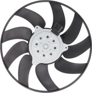 Thermotec D8A011TT - Fan, radiator autospares.lv