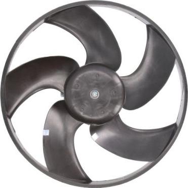 Thermotec D8P001TT - Fan, radiator autospares.lv