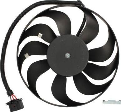 Thermotec D8W043TT - Fan, radiator autospares.lv