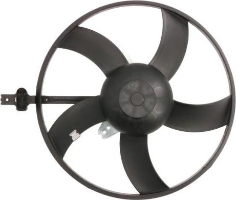 Thermotec D8W035TT - Fan, radiator autospares.lv