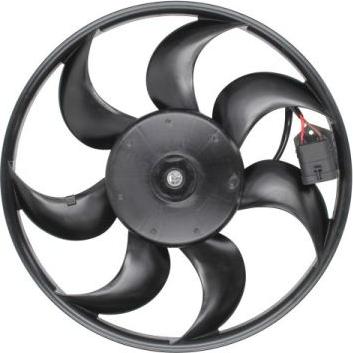 Thermotec D8X019TT - Fan, radiator autospares.lv