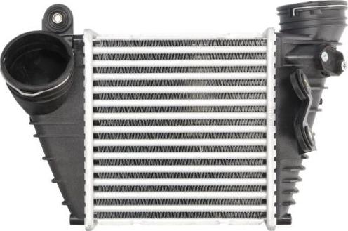 Thermotec DAW008TT - Intercooler, charger autospares.lv