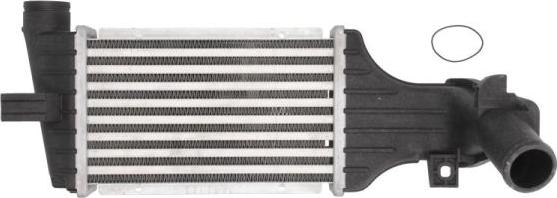Thermotec DAX006TT - Intercooler, charger autospares.lv