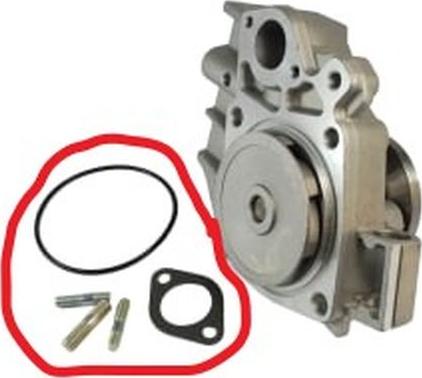 Thermotec SALE-D1F062TT - Water Pump autospares.lv