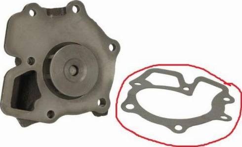 Thermotec SALE-D1G026TT - Water Pump autospares.lv