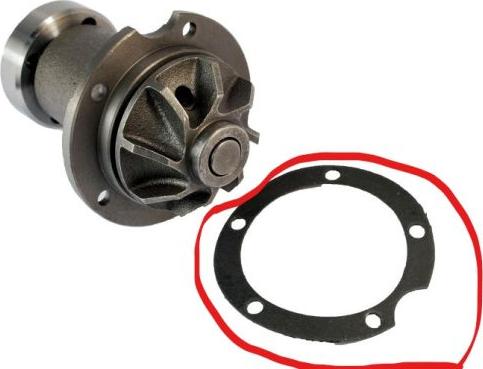 Thermotec SALE-D1M006TT - Water Pump autospares.lv