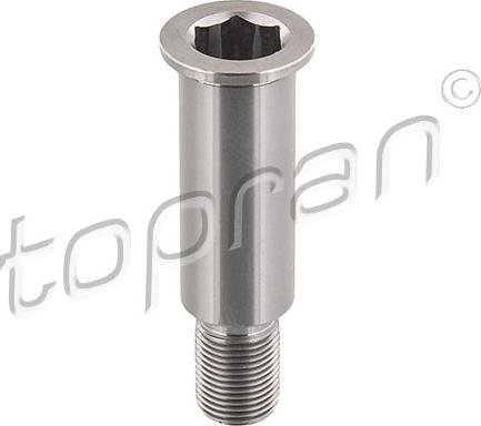 Topran 400 004 - Bearing Journal, tensioner pulley lever autospares.lv