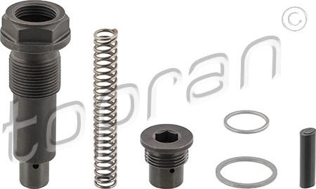 Topran 408 971 - Tensioner, timing chain autospares.lv