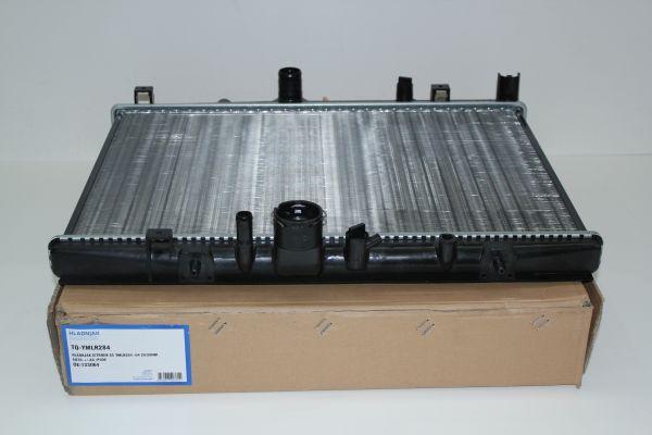 TQ TQ-YMLR284 - Radiator, engine cooling autospares.lv